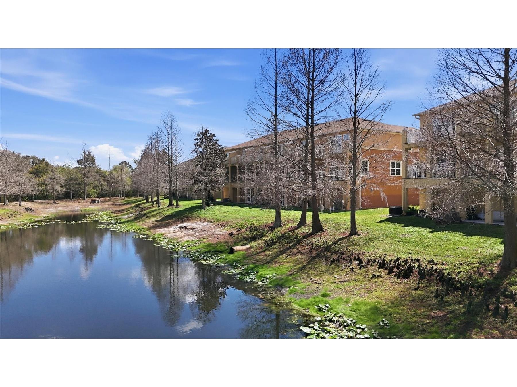 9038 White Sage Loop Lakewood Ranch FL 34202 A4682365 image41