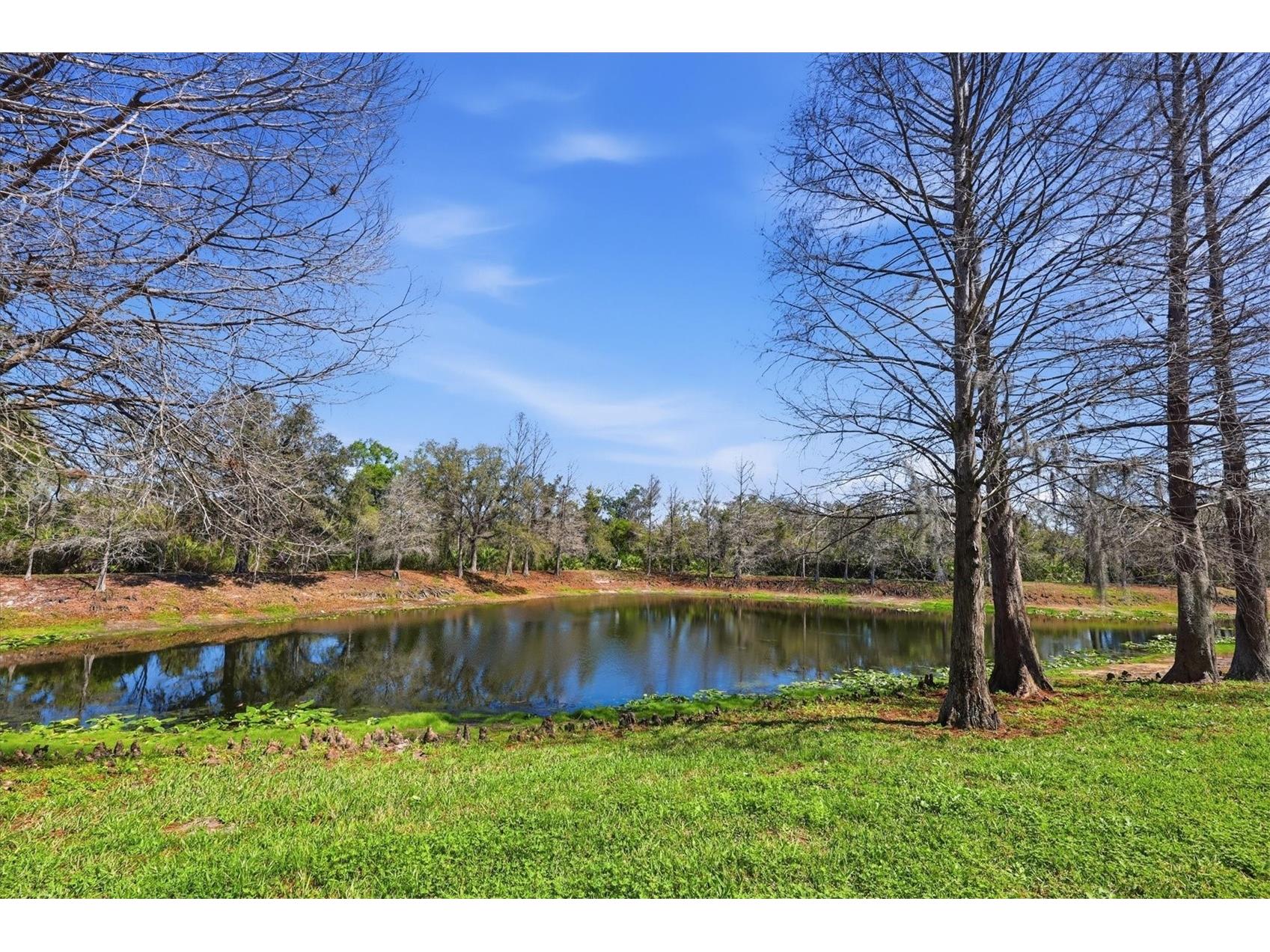 9038 White Sage Loop Lakewood Ranch FL 34202 A4682365 image5