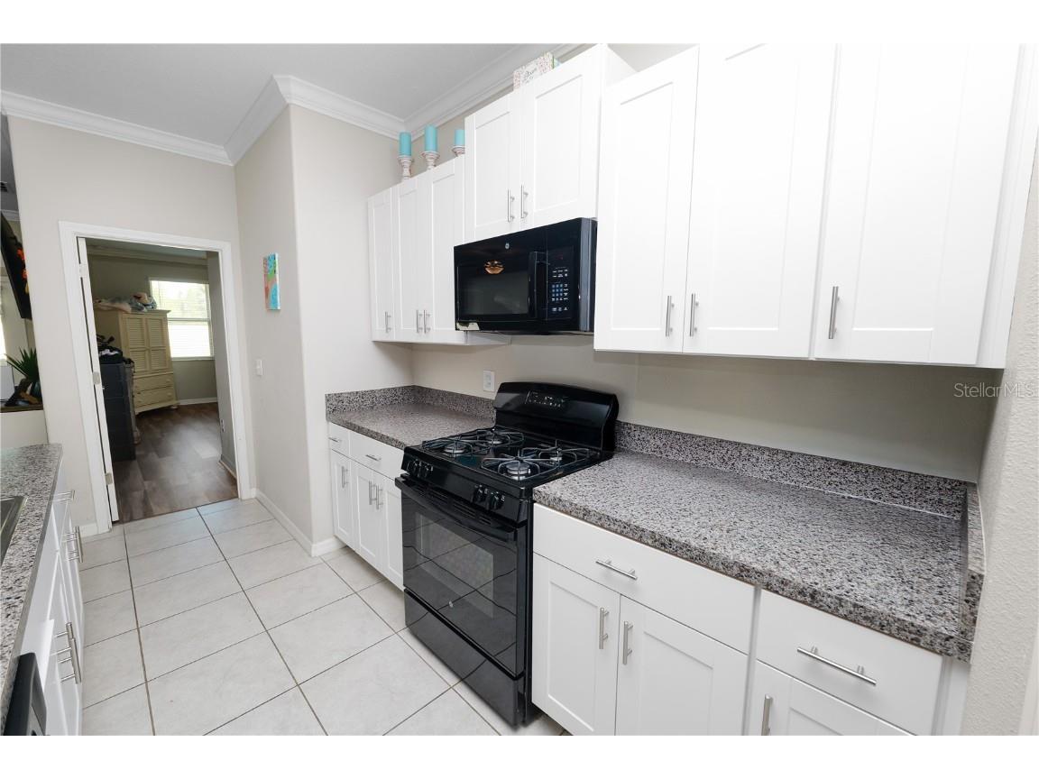 9039 Pleasant Woods Drive Land O Lakes FL 34637 L4956728 image10