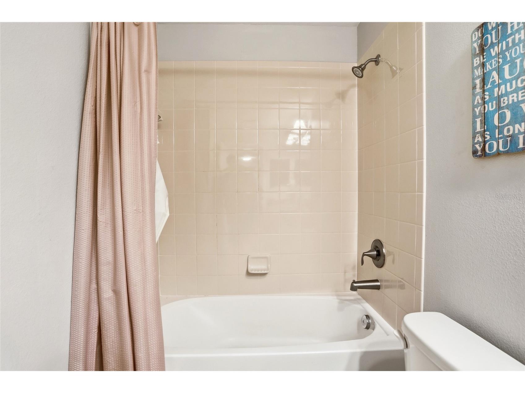 9039 Shadow Mountain Street Davenport FL 33896 O6379163 image29