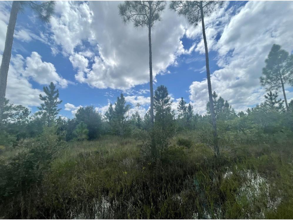 904 Althea Drive Indian Lake Estates FL 33855 L4937752 image1