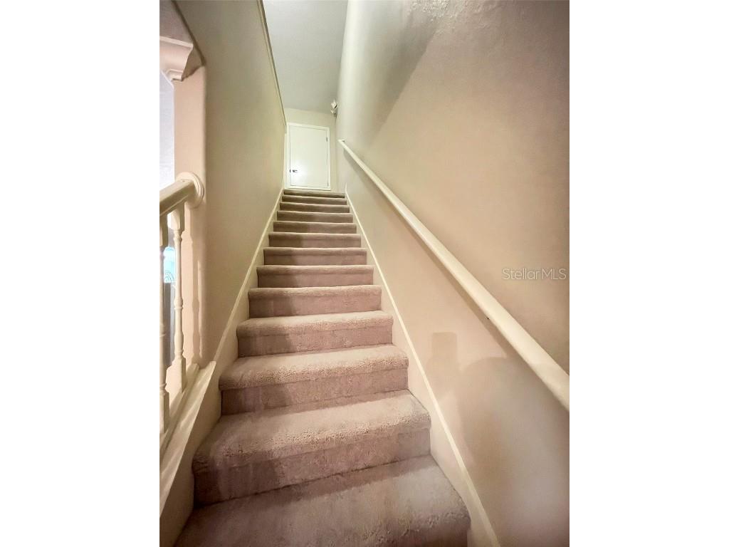 904 Assembly Court Reunion FL 34747 S5117911 image18