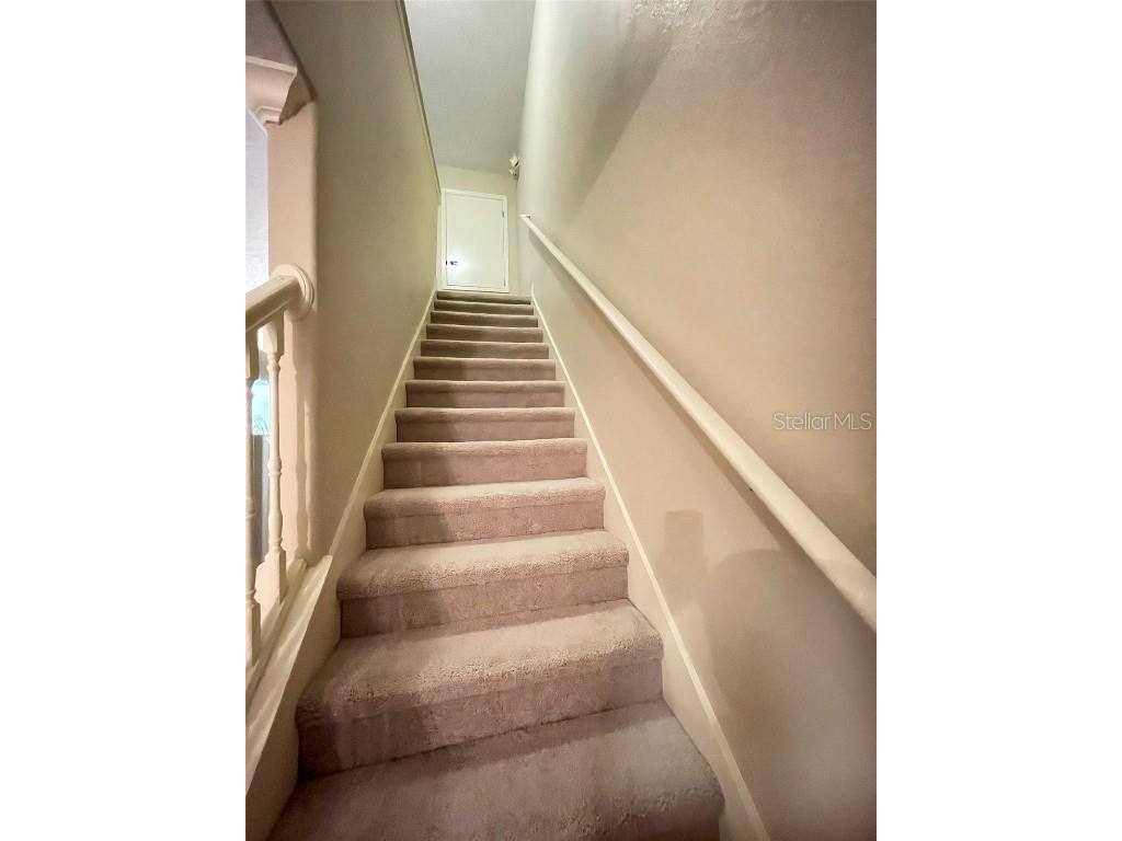 904 Assembly Court Reunion FL 34747 S5126390 image12