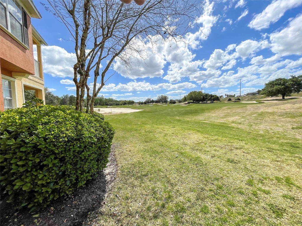 904 Assembly Court Reunion FL 34747 S5126390 image4