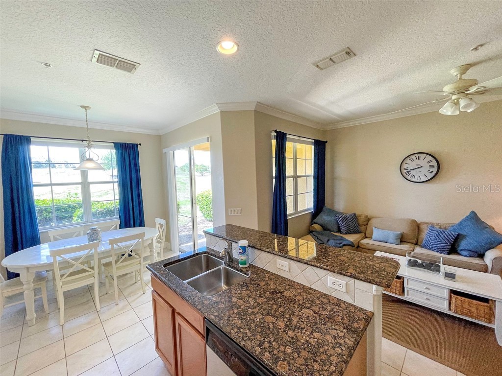 904 Assembly Court Reunion FL 34747 S5126390 image6