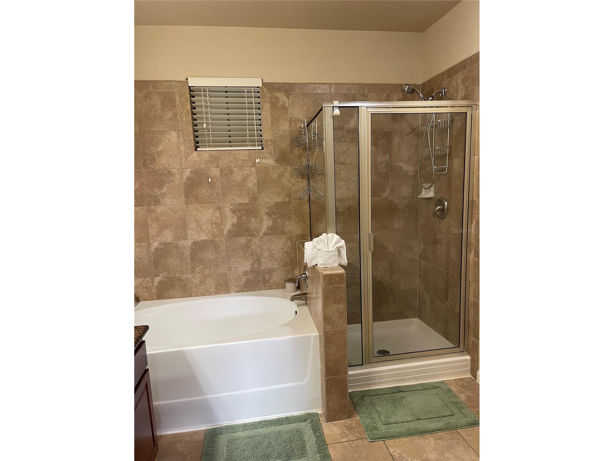 904 Charo Parkway #516 Davenport FL 33897 O6400431 image13