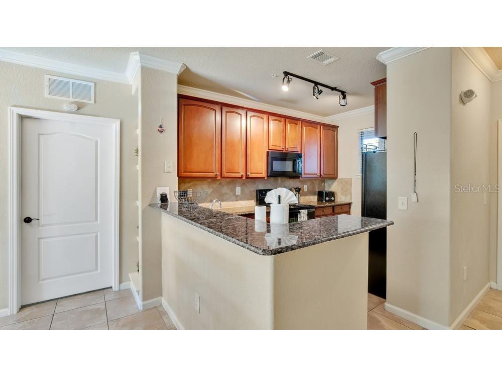904 Charo Parkway #517 Davenport FL 33897 L4955432 image7