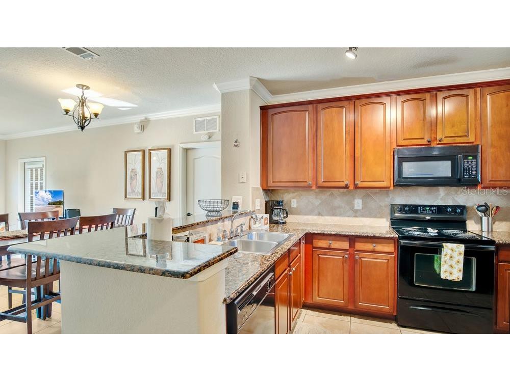 904 Charo Parkway #517 Davenport FL 33897 L4955432 image8