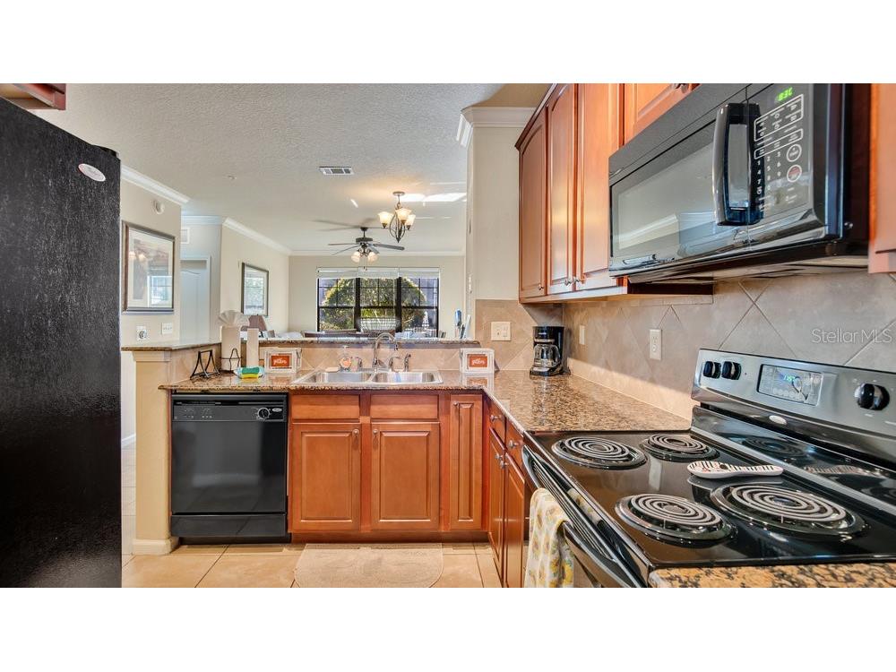 904 Charo Parkway #517 Davenport FL 33897 L4955432 image9