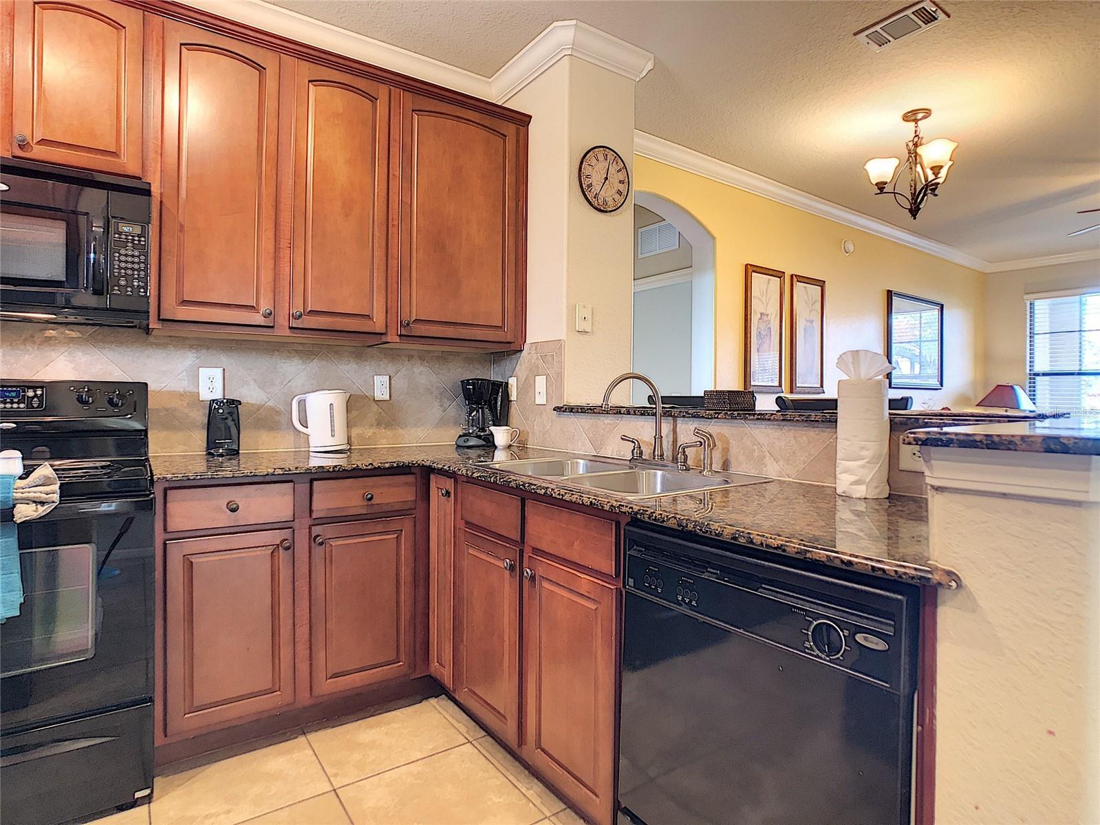 904 Charo Parkway #533 Davenport FL 33897 O6411846 image5