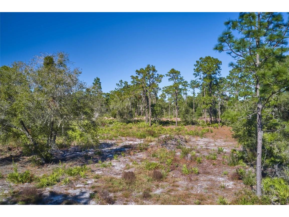 904 Hibiscus Drive Indian Lake Estates FL 33855 - LAKE WALK IN WATER T3421394 image1