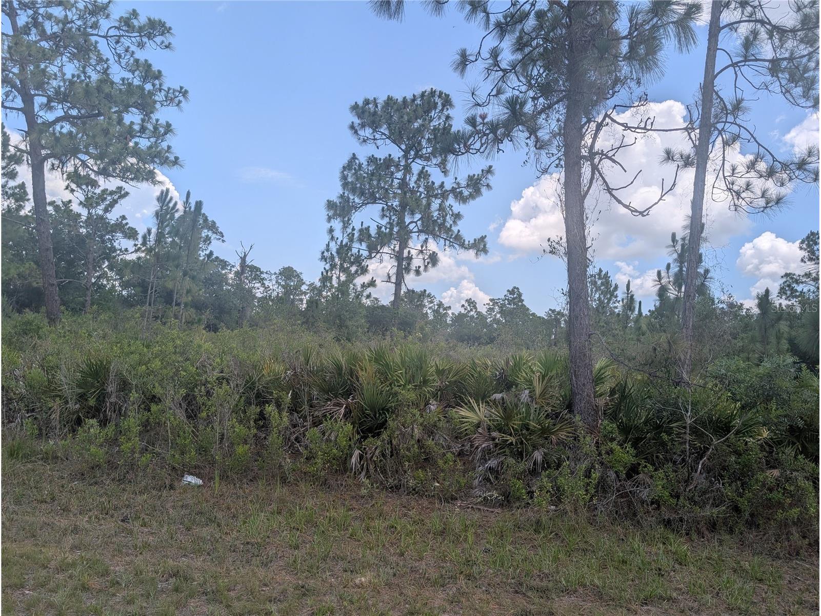904 Laguna Drive Indian Lake Estates FL 33855 - LAKE WALK-IN-WATER P4939158 image1