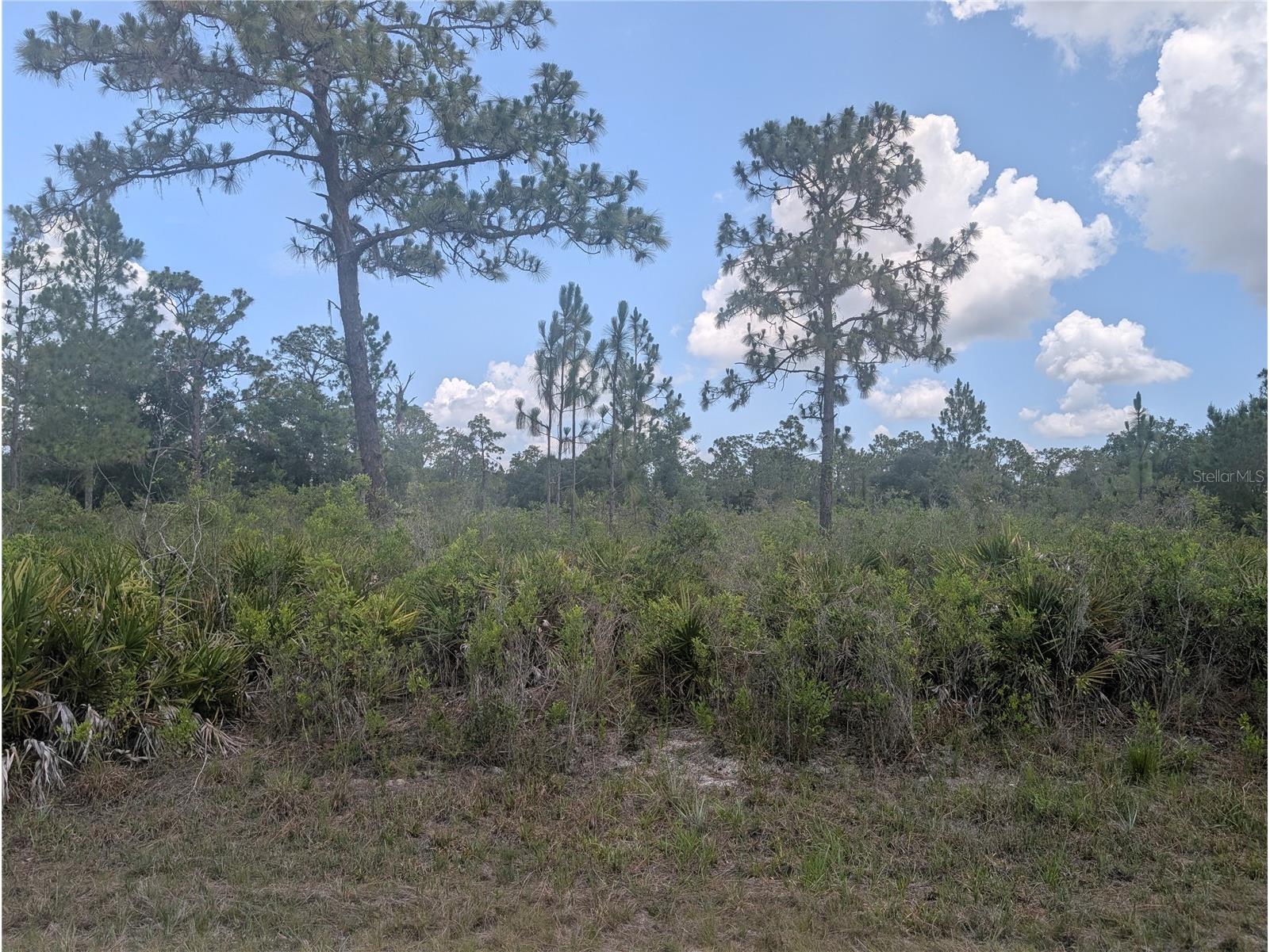 904 Laguna Drive Indian Lake Estates FL 33855 - LAKE WALK-IN-WATER P4939158 image2