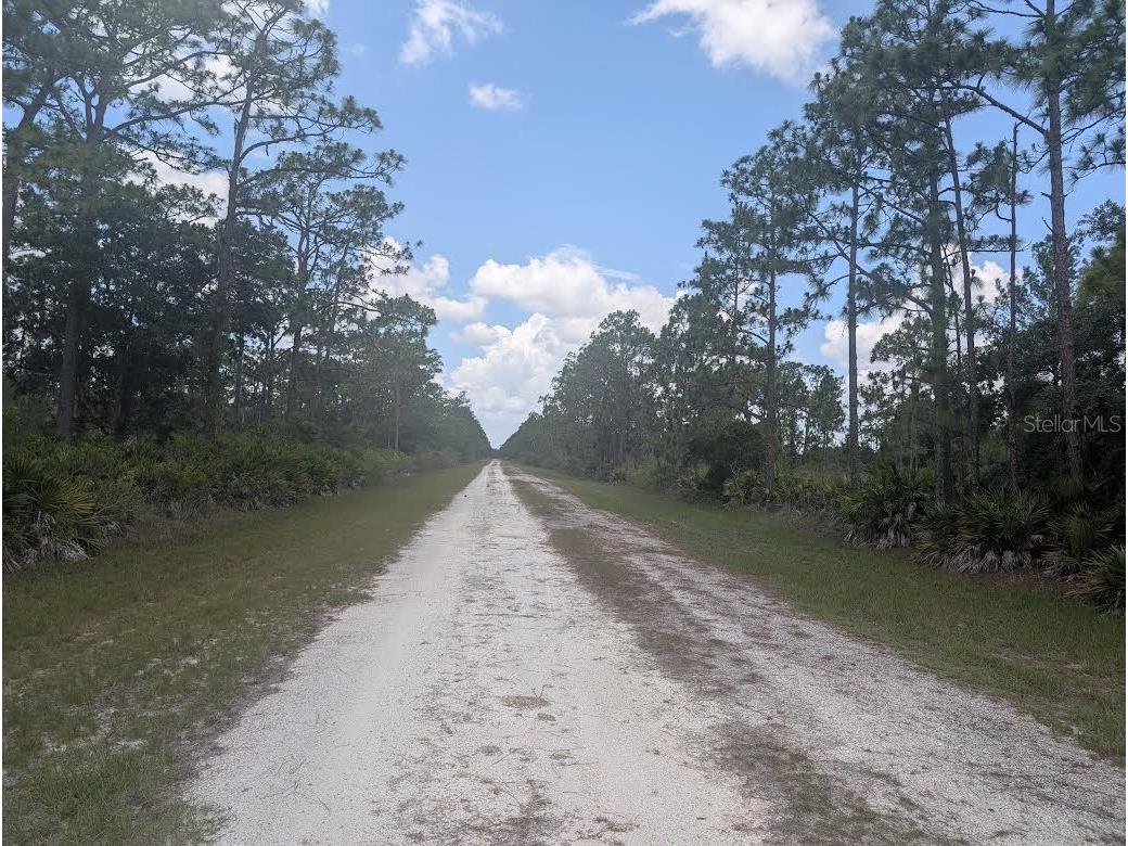 904 Laguna Drive Indian Lake Estates FL 33855 - LAKE WALK-IN-WATER P4939158 image3