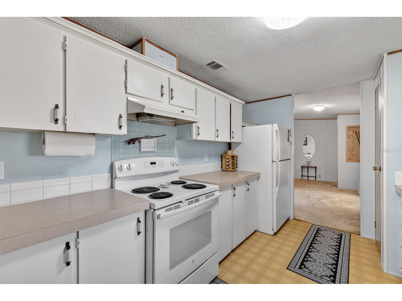 904 Maplewood Street Tavares FL 32778 O6393538 image22