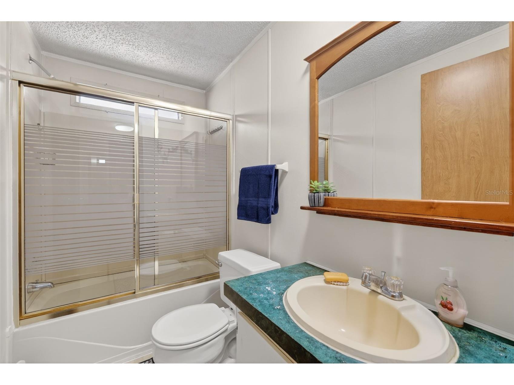 904 Maplewood Street Tavares FL 32778 O6393538 image32