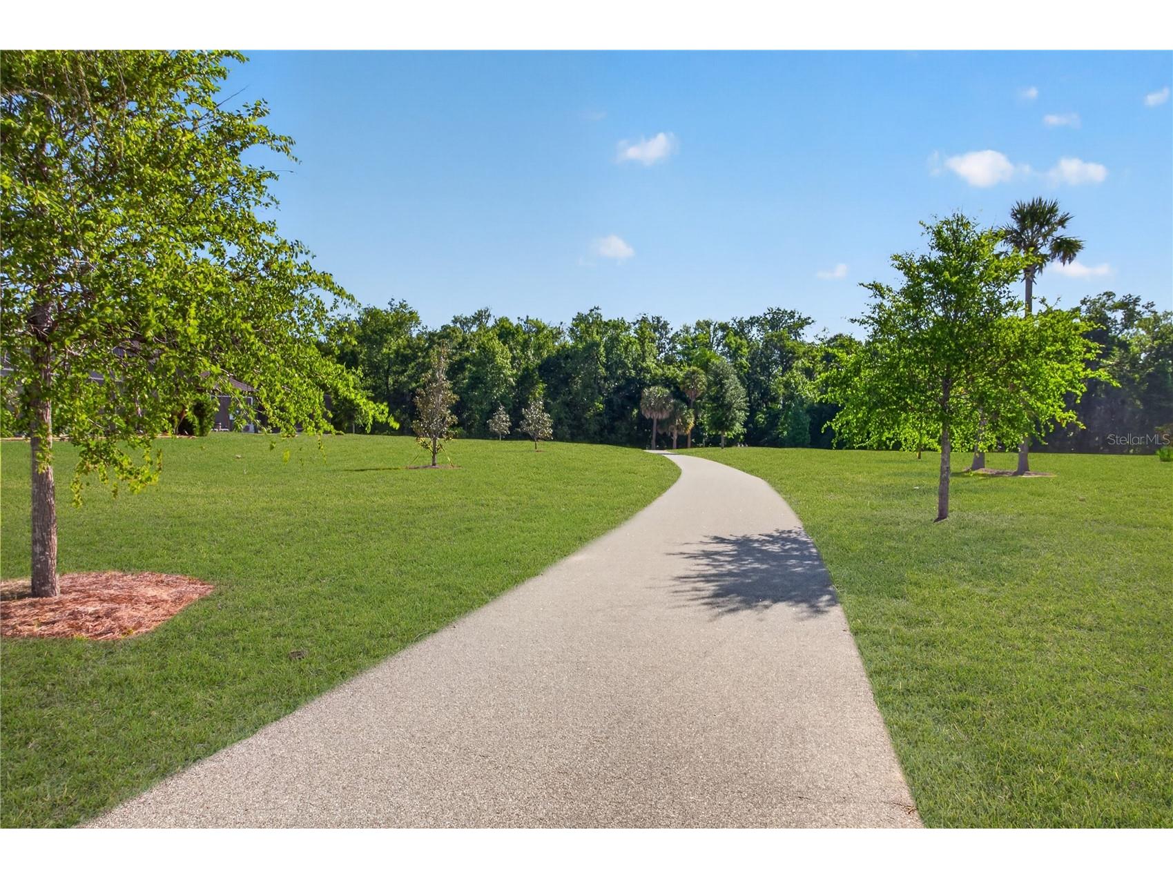 904 Maynard Path The Villages FL 32163 G5108983 image4