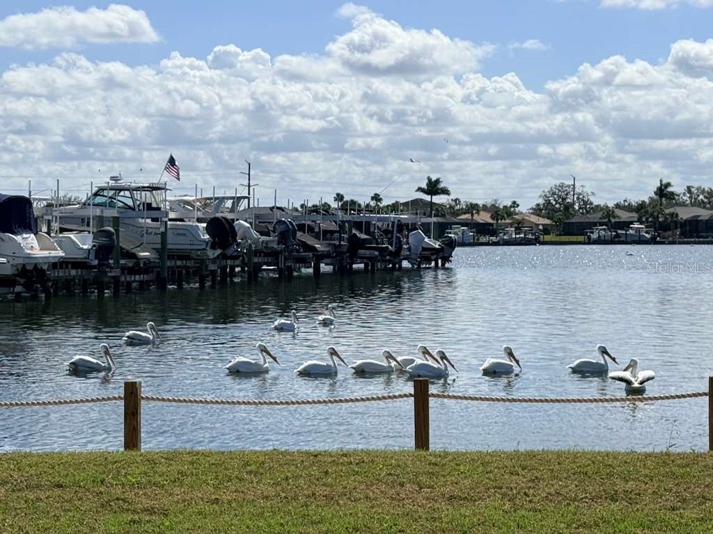 904 Riverscape Street Bradenton FL 34208 A4684220 image70