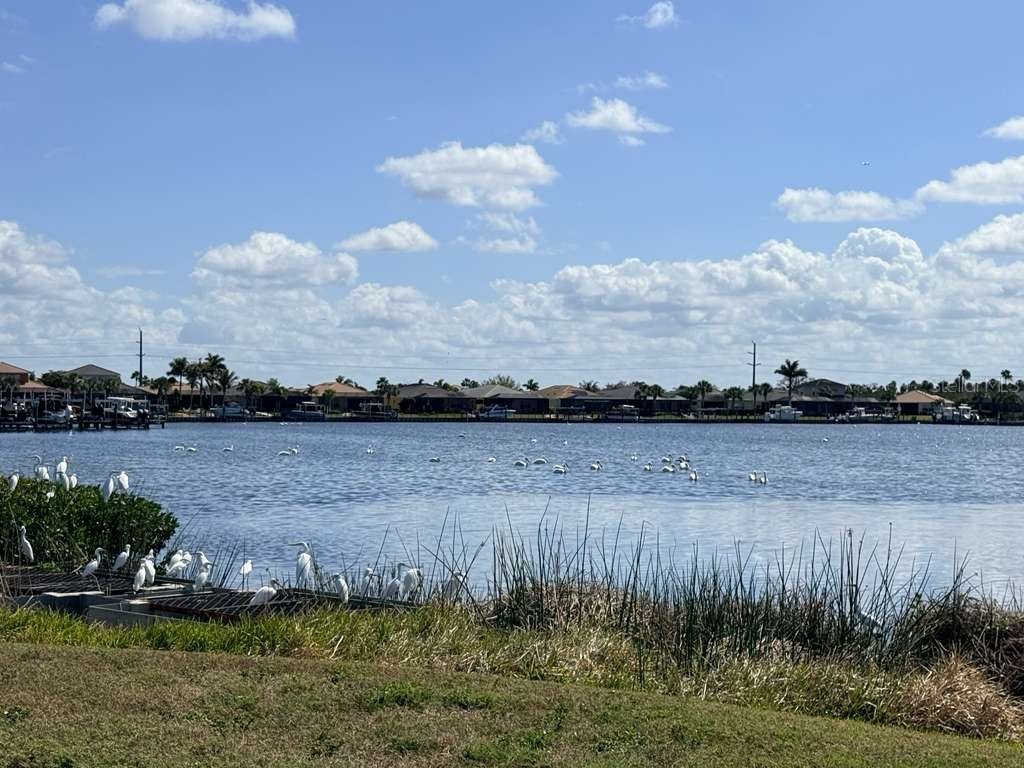 904 Riverscape Street Bradenton FL 34208 A4684220 image85