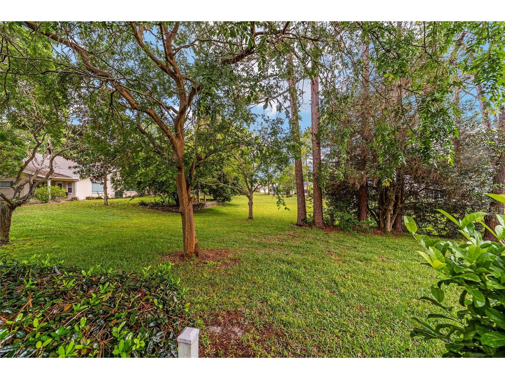 9040 SW 87th Avenue #C Ocala FL 34481 OM722346 image3