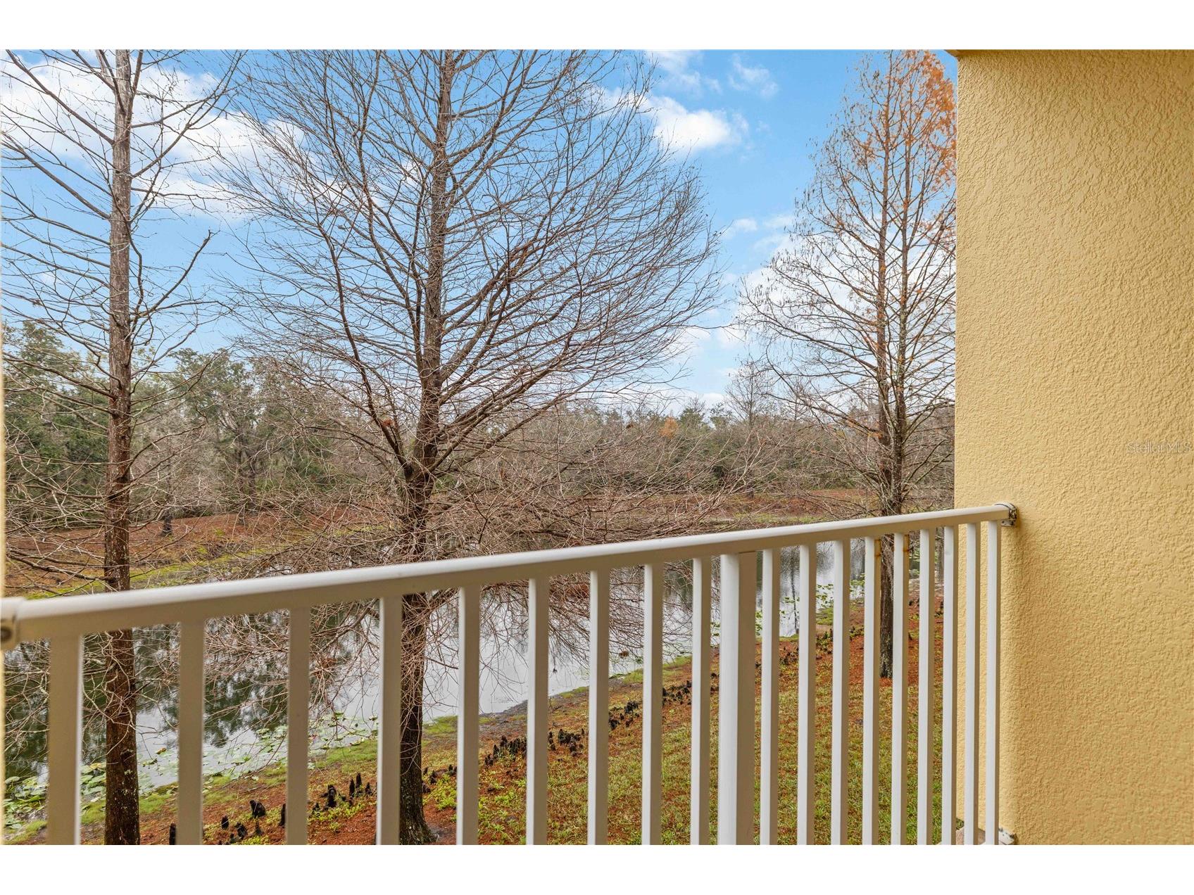 9040 White Sage Loop Lakewood Ranch FL 34202 - BRADEN RIVER A4681434 image32