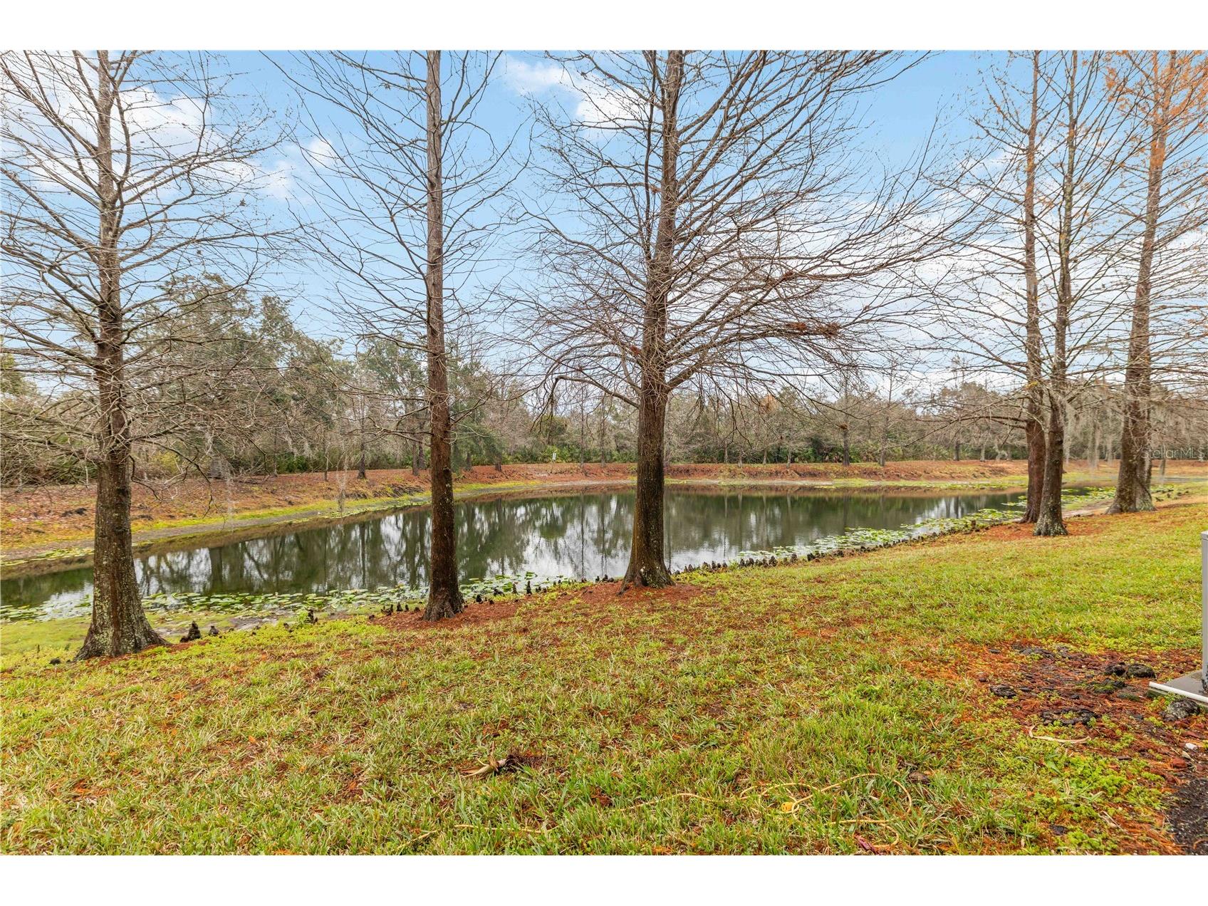 9040 White Sage Loop Lakewood Ranch FL 34202 - BRADEN RIVER A4681434 image33