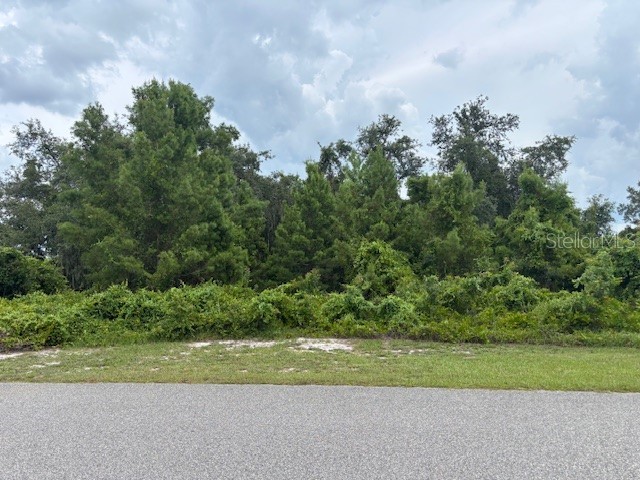 9041 & 9049 S Bay Drive Haines City FL 33844 - LAKE MARION P4935760 image11