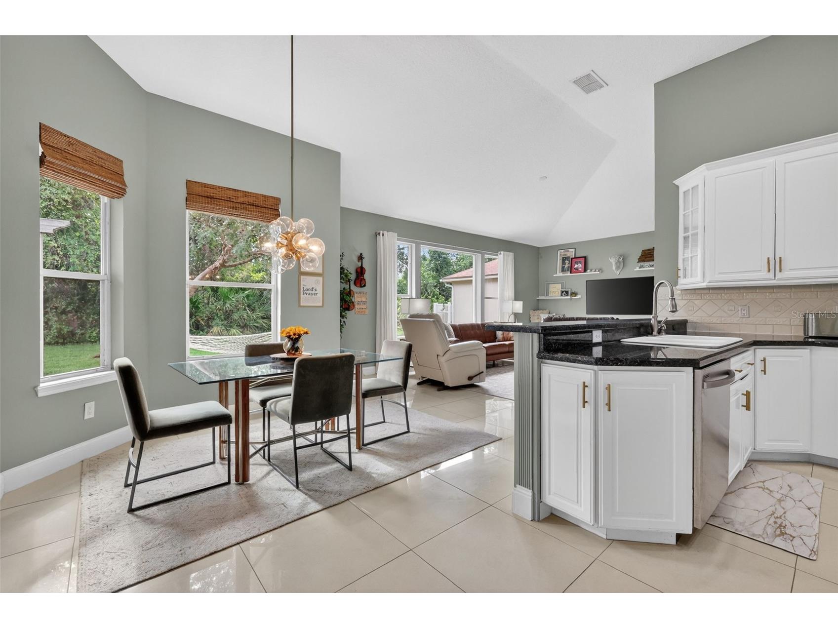 9041 Laurel Ridge Drive Mount Dora FL 32757 O6410650 image13