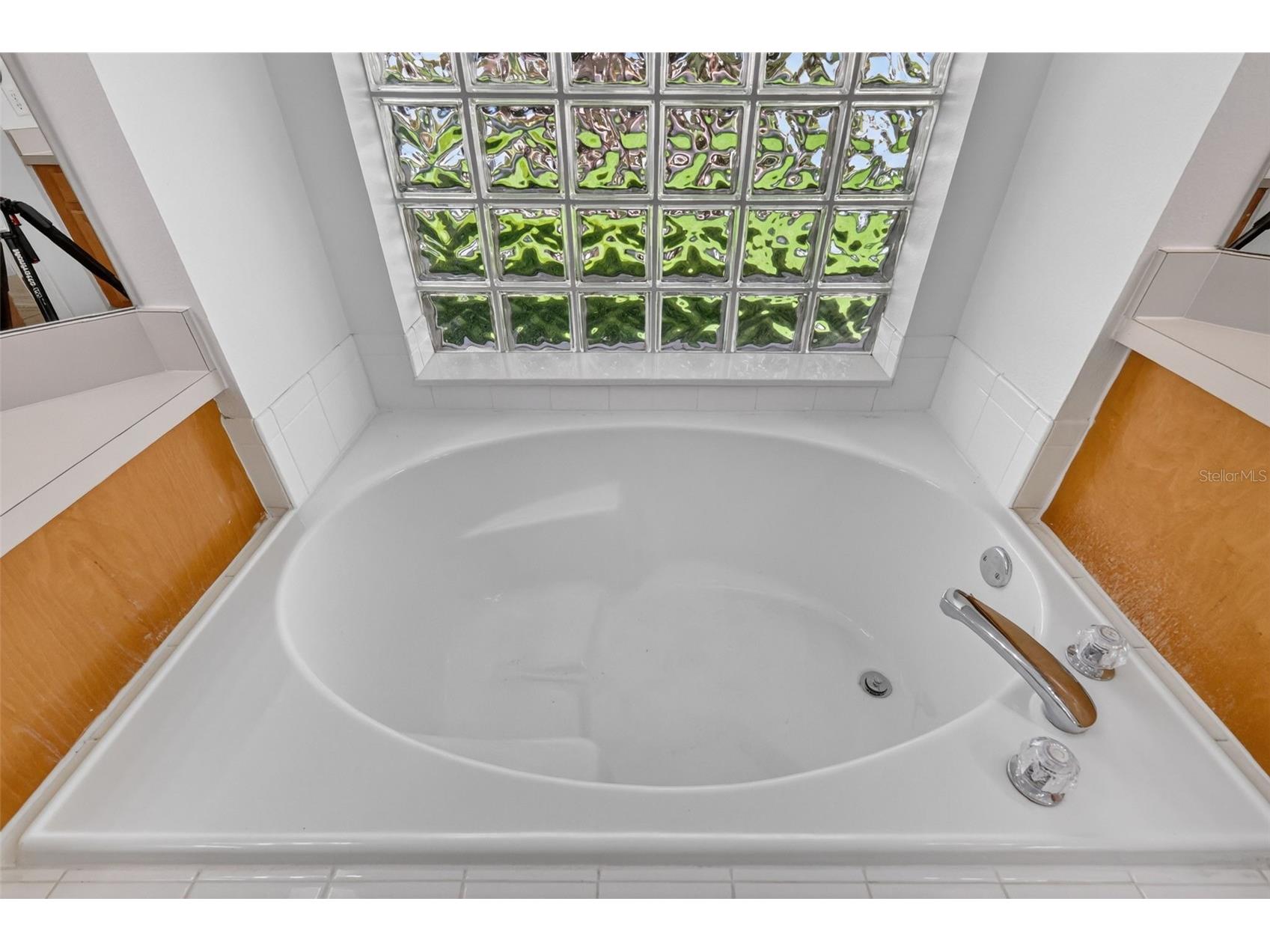 9041 Laurel Ridge Drive Mount Dora FL 32757 O6410650 image22