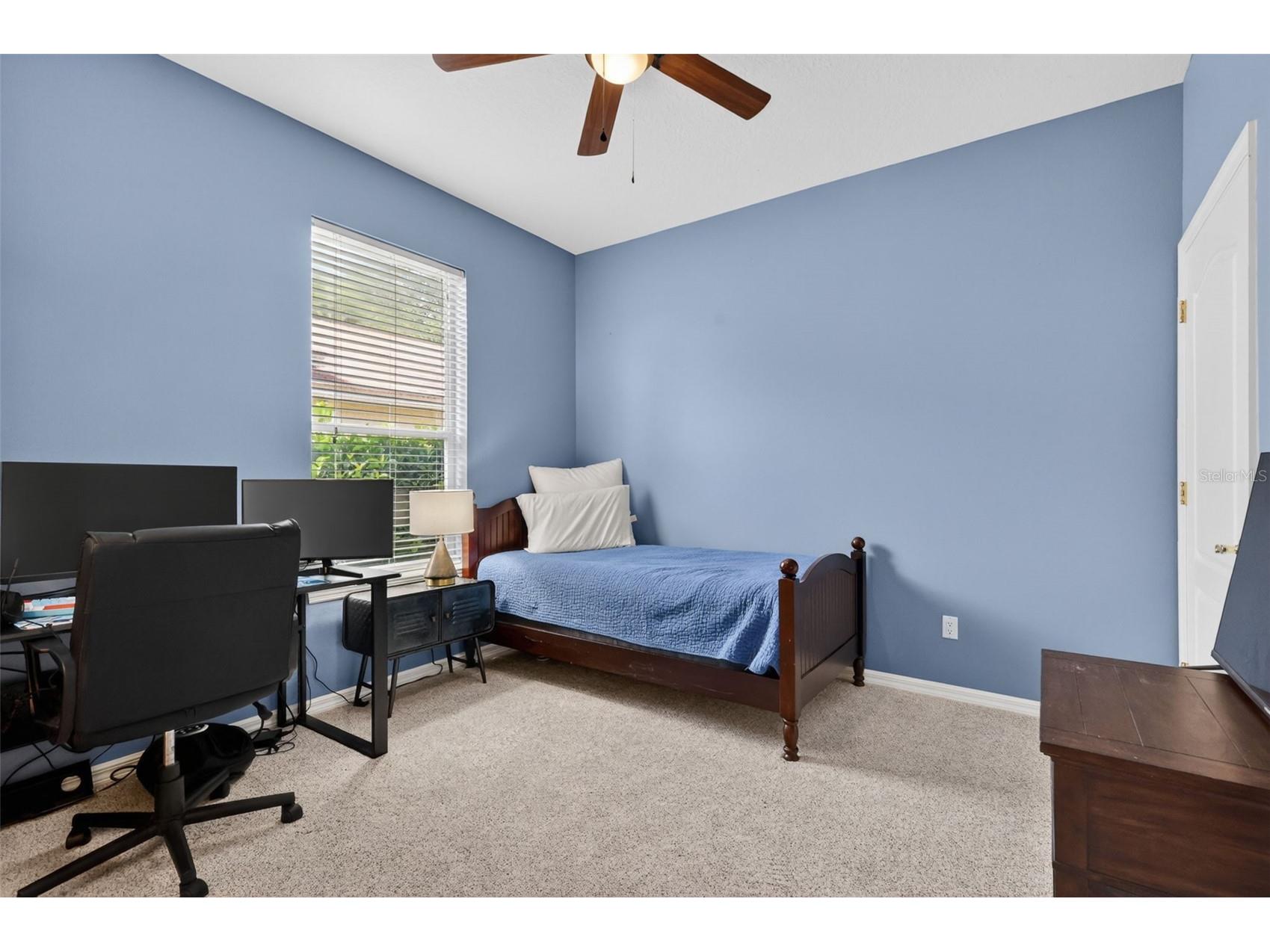9041 Laurel Ridge Drive Mount Dora FL 32757 O6410650 image26
