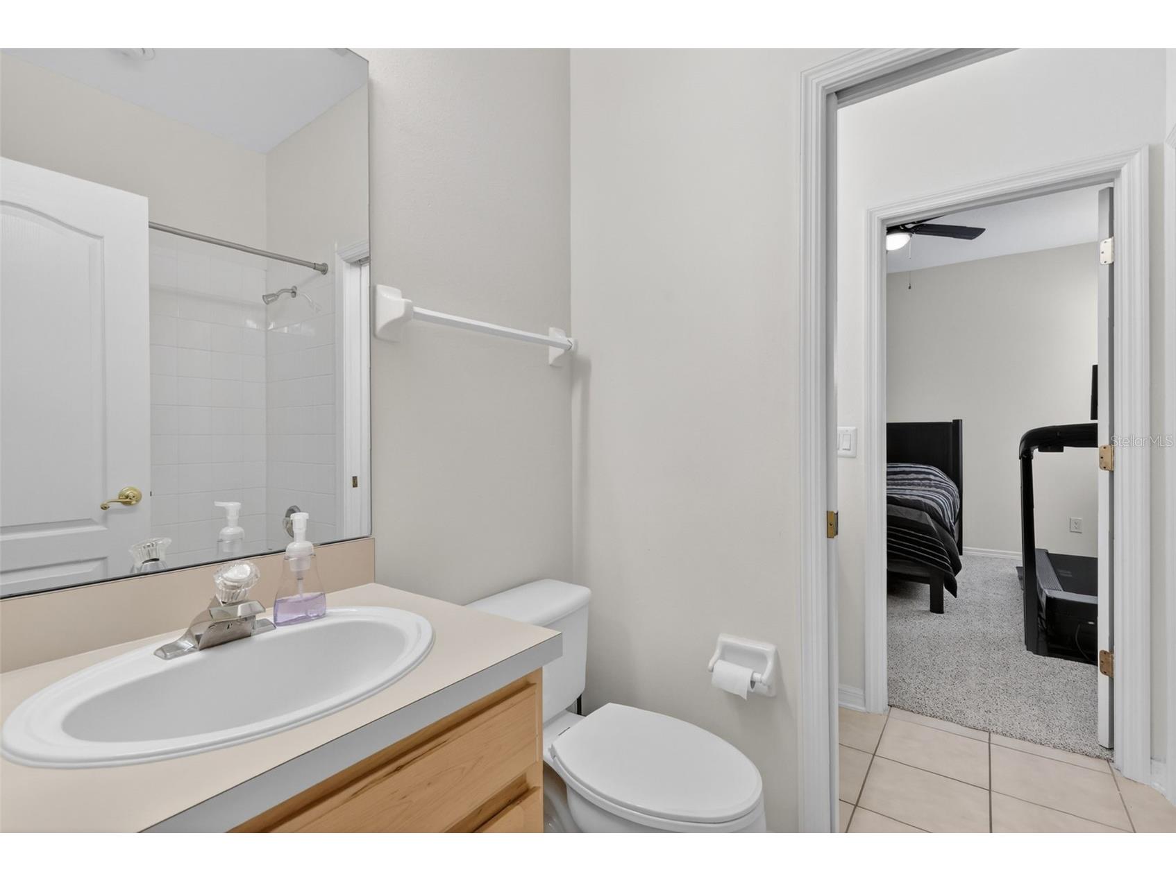 9041 Laurel Ridge Drive Mount Dora FL 32757 O6410650 image28