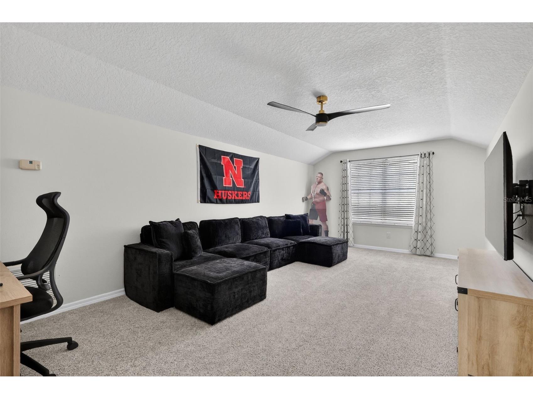 9041 Laurel Ridge Drive Mount Dora FL 32757 O6410650 image34