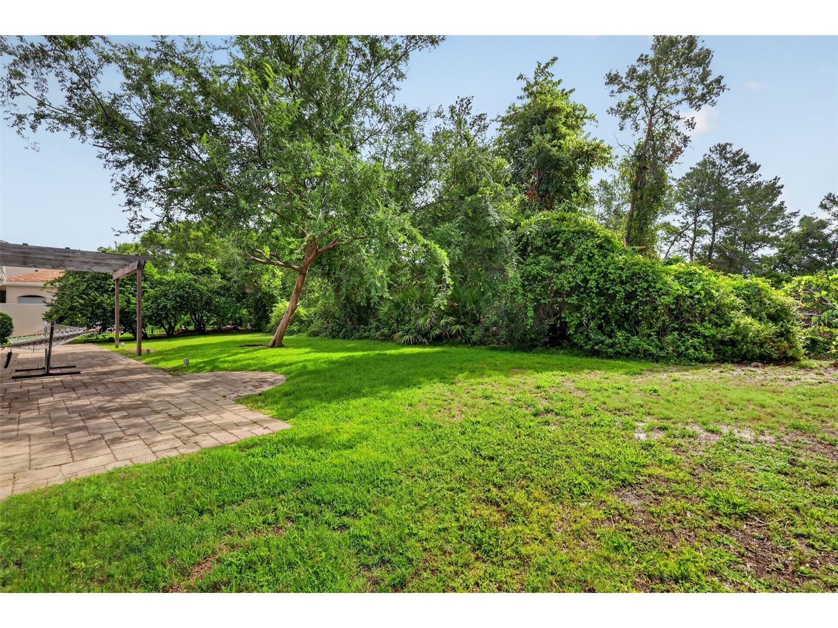 9041 Laurel Ridge Drive Mount Dora FL 32757 O6410650 image40