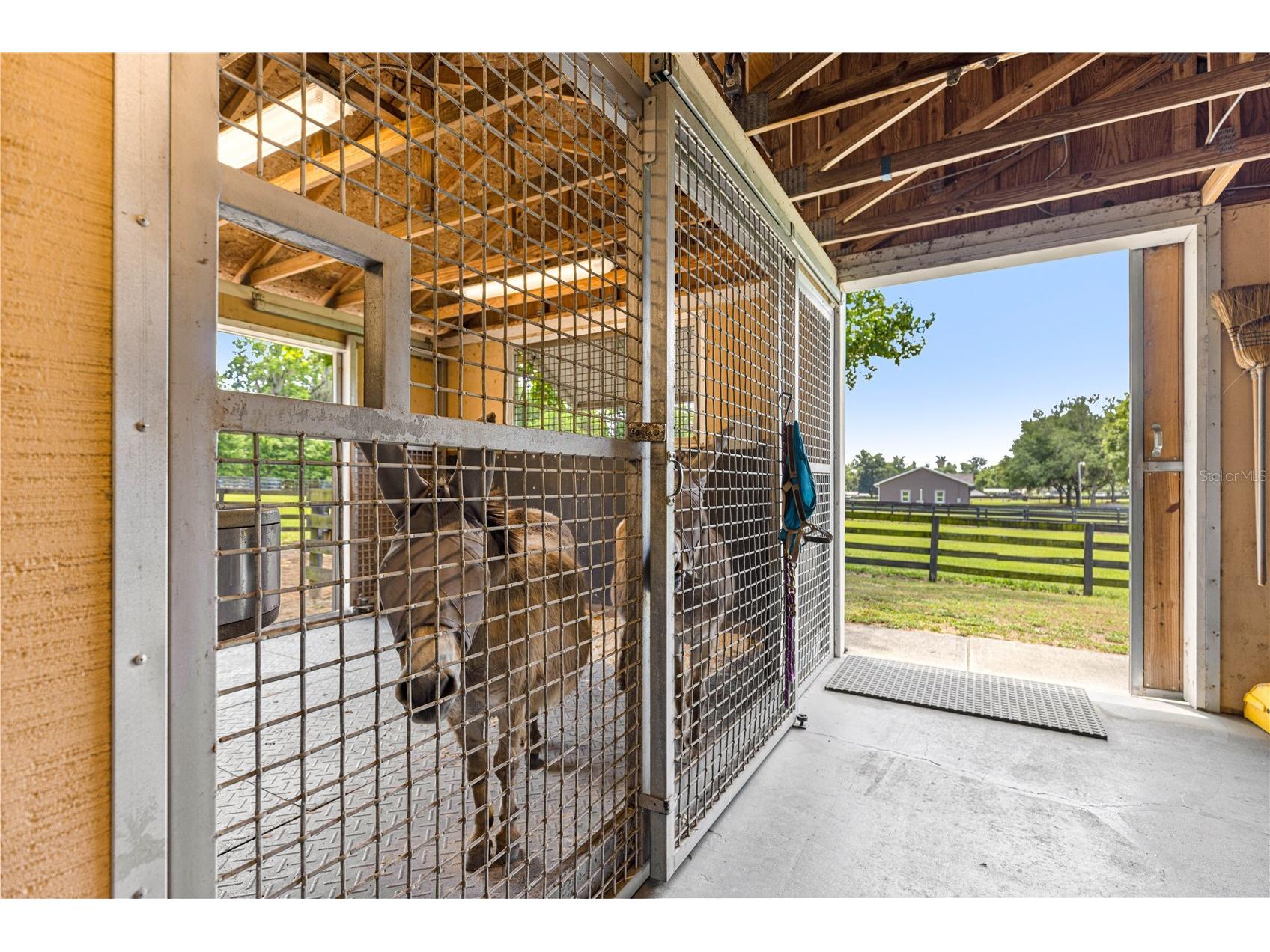 9041 SW 14th Avenue Ocala FL 34476 OM724844 image53