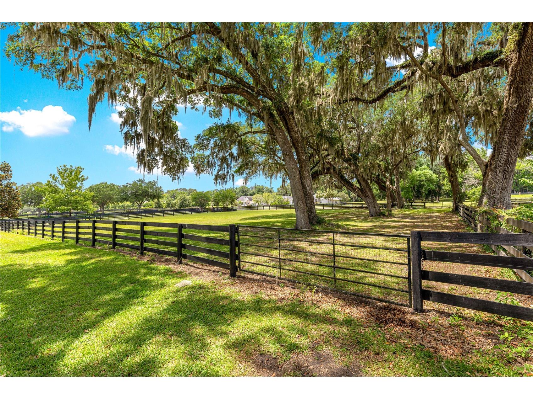 9041 SW 14th Avenue Ocala FL 34476 OM724844 image64