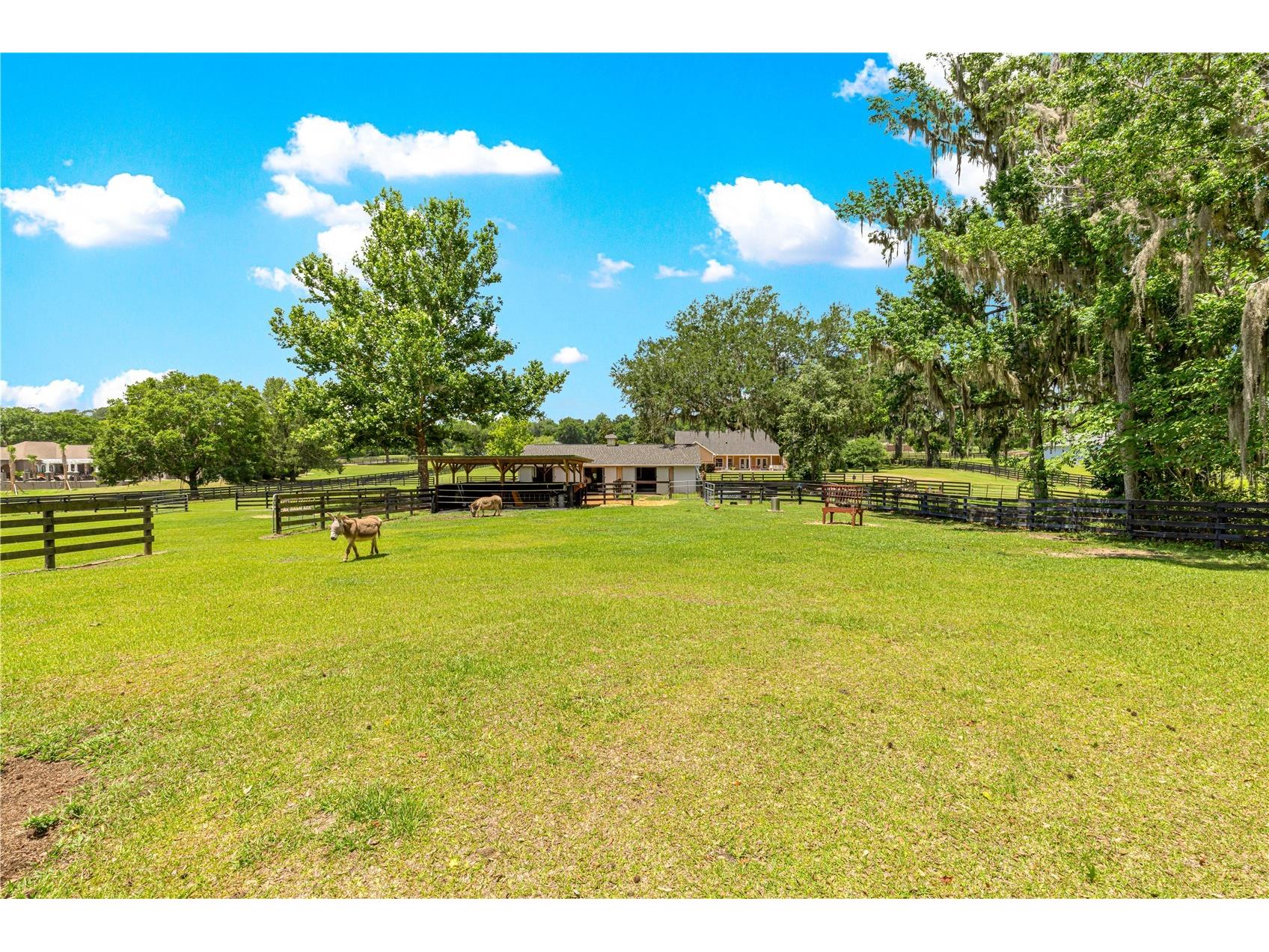9041 SW 14th Avenue Ocala FL 34476 OM724844 image68