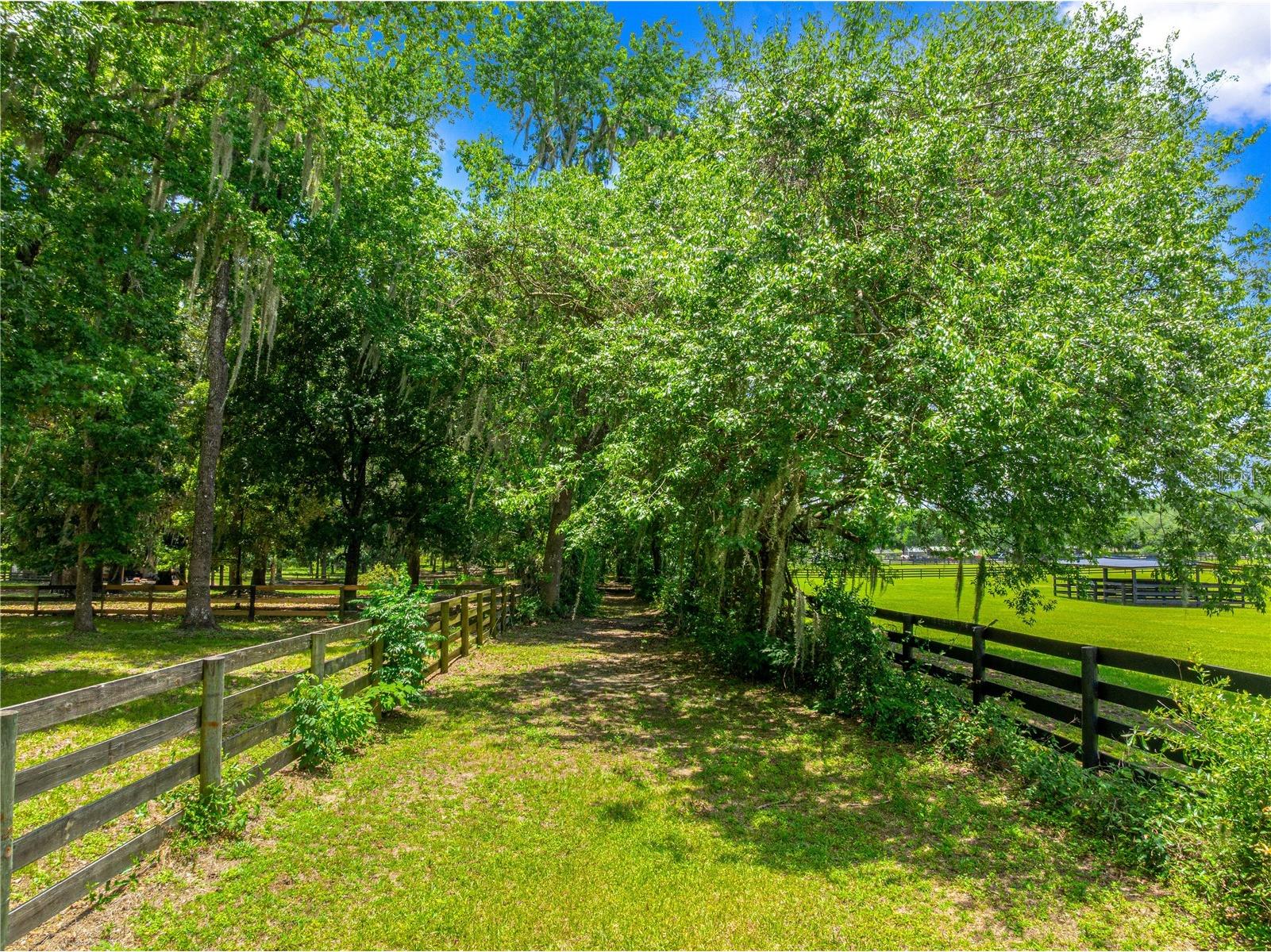 9041 SW 14th Avenue Ocala FL 34476 OM724844 image74