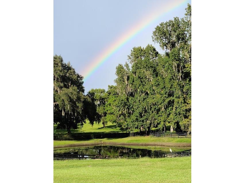 9041 SW 14th Avenue Ocala FL 34476 OM724844 image77