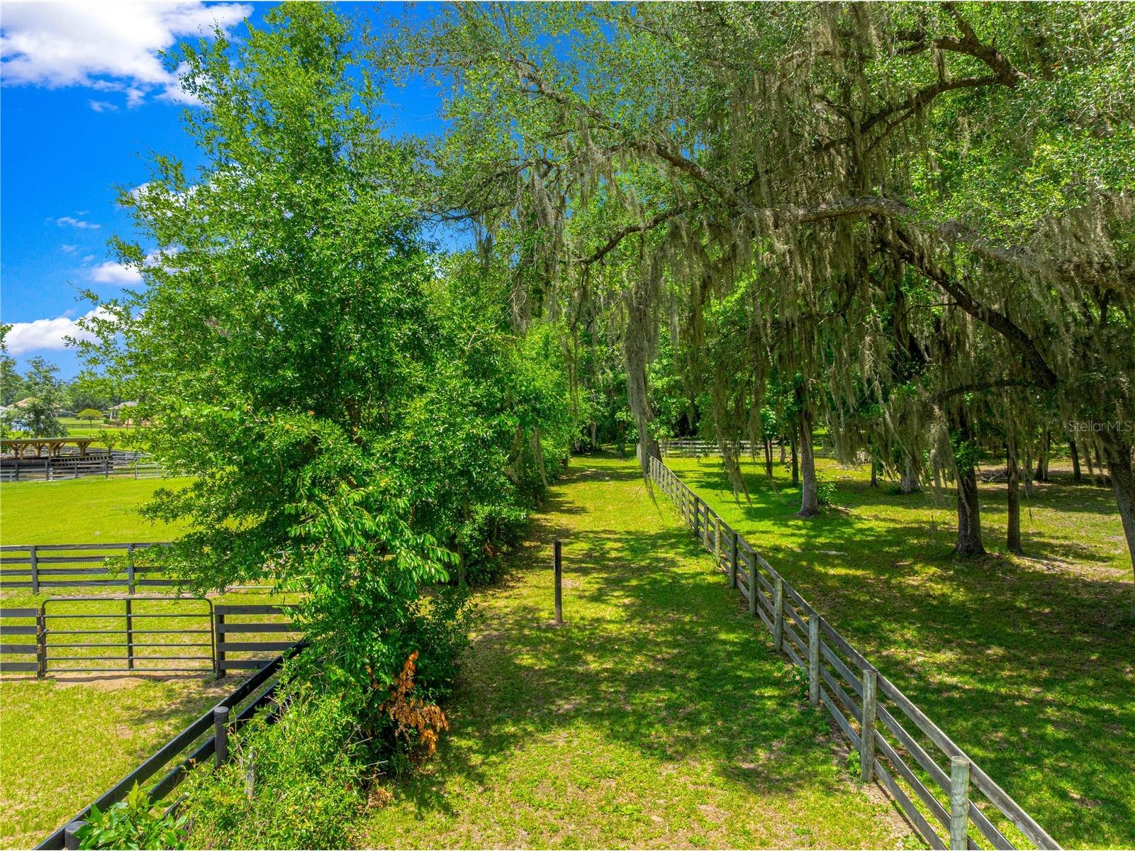 9041 SW 14th Avenue Ocala FL 34476 OM724844 image79