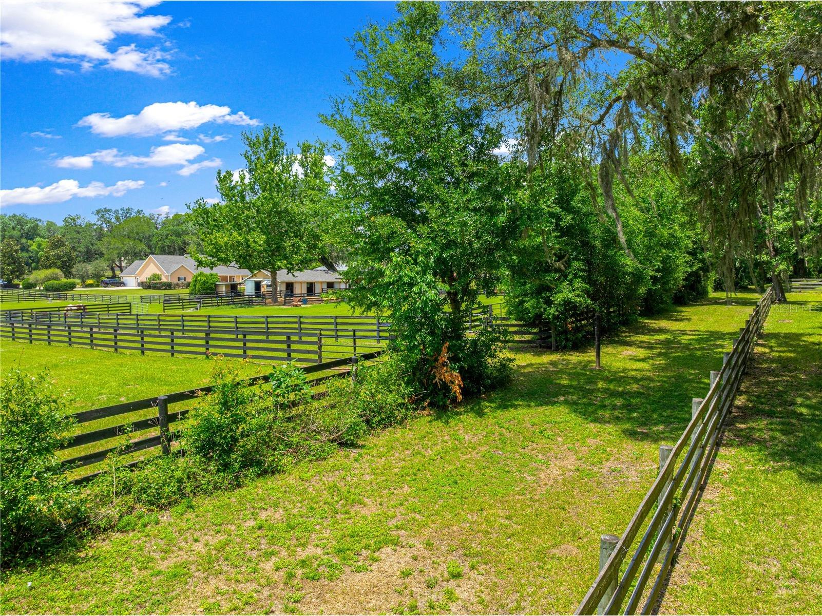 9041 SW 14th Avenue Ocala FL 34476 OM724844 image81
