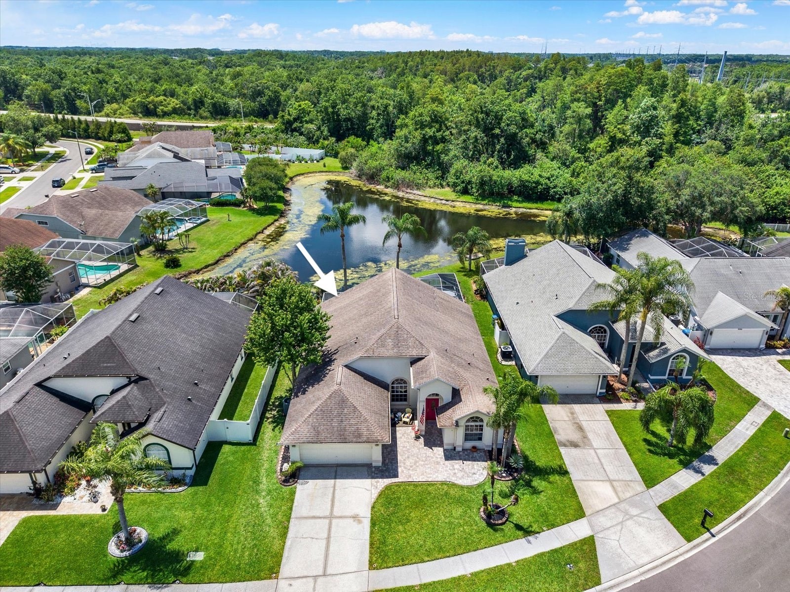 9042 Breland Drive Tampa FL 33626 TB8510327 image3