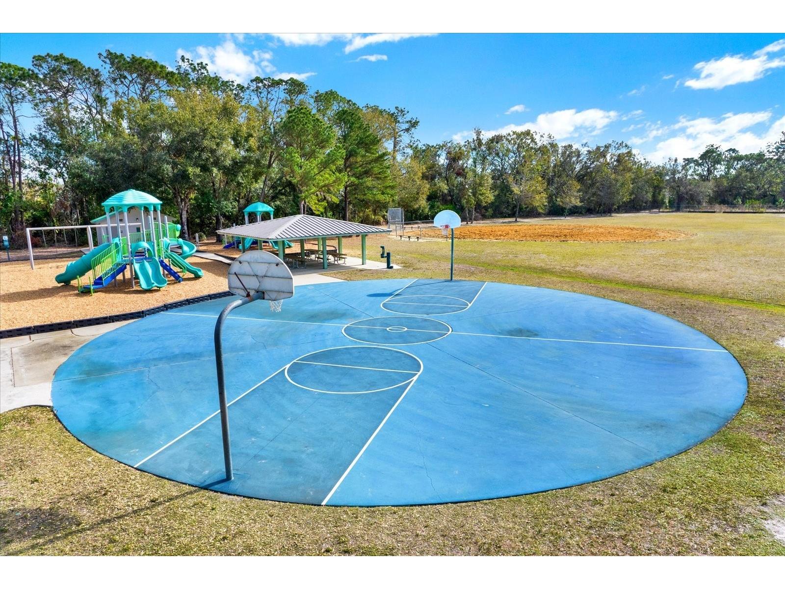 9042 Breland Drive Tampa FL 33626 TB8510327 image39