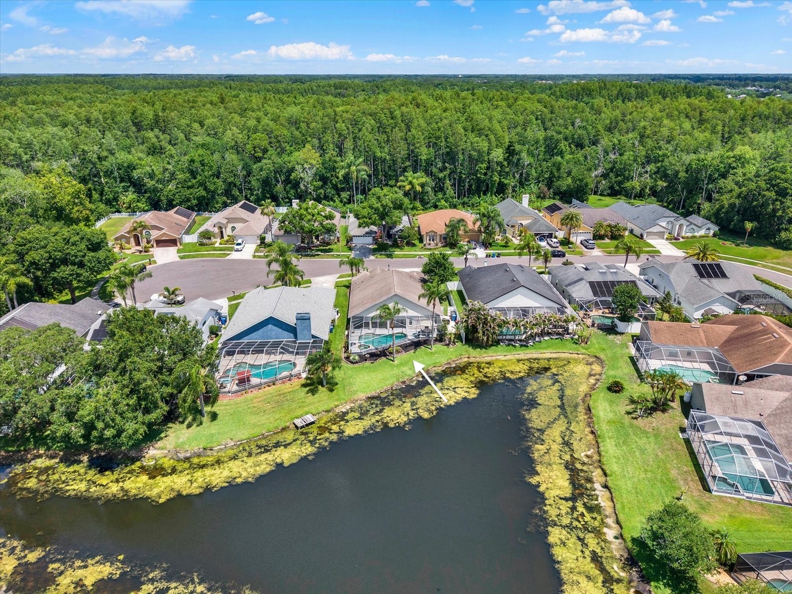 9042 Breland Drive Tampa FL 33626 TB8510327 image4