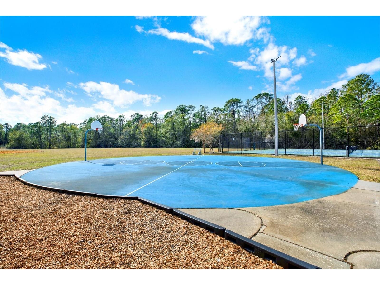 9042 Breland Drive Tampa FL 33626 TB8510327 image40
