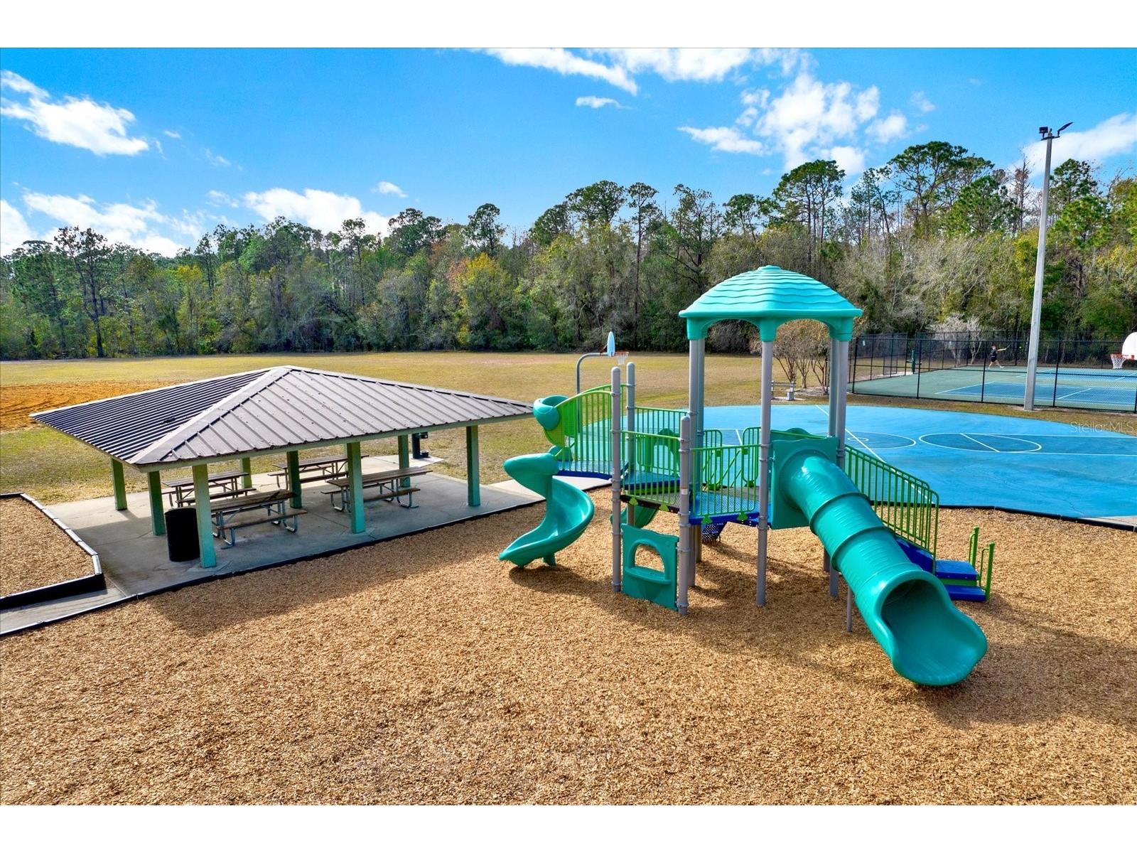 9042 Breland Drive Tampa FL 33626 TB8510327 image41