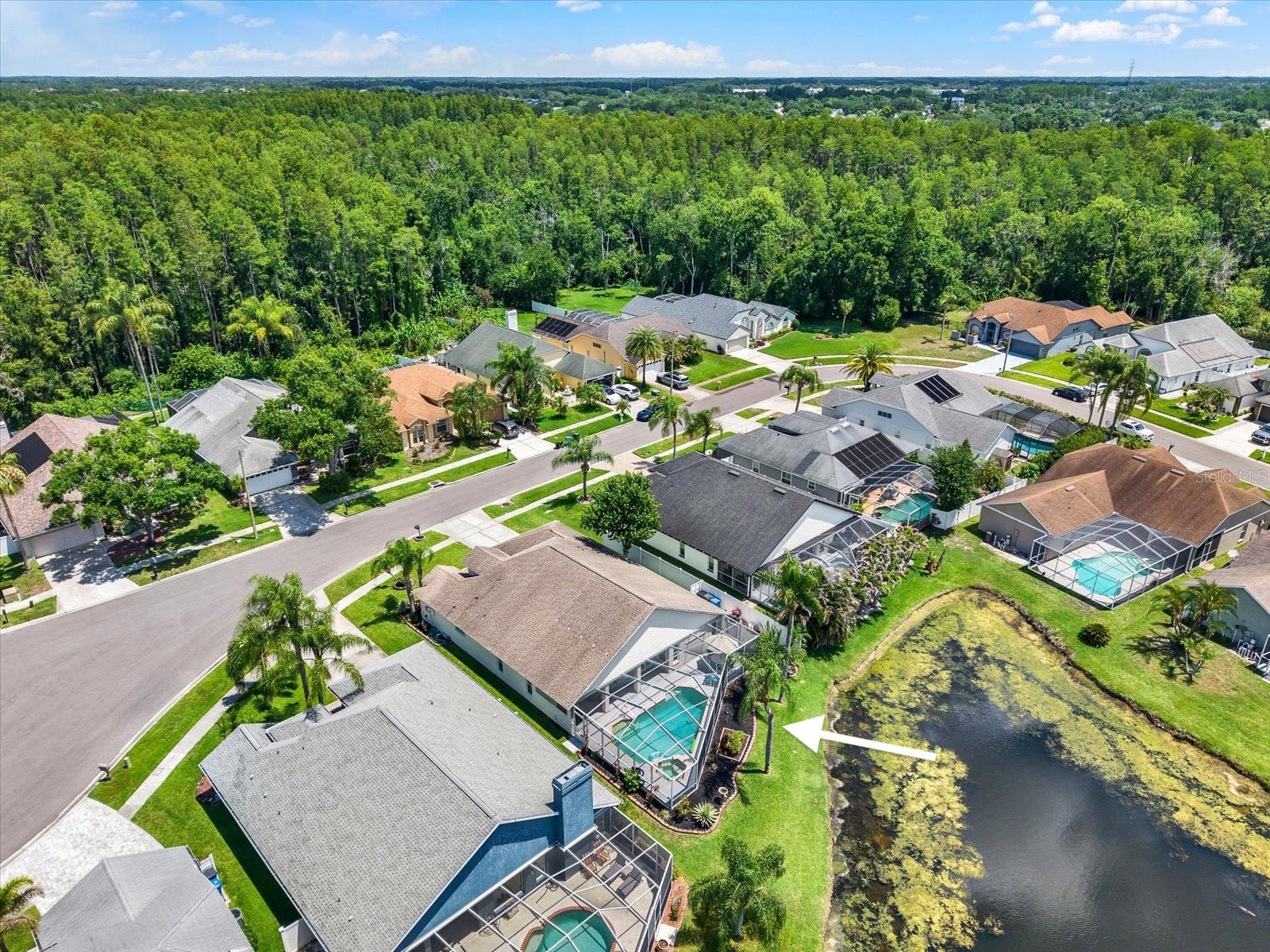 9042 Breland Drive Tampa FL 33626 TB8510327 image6