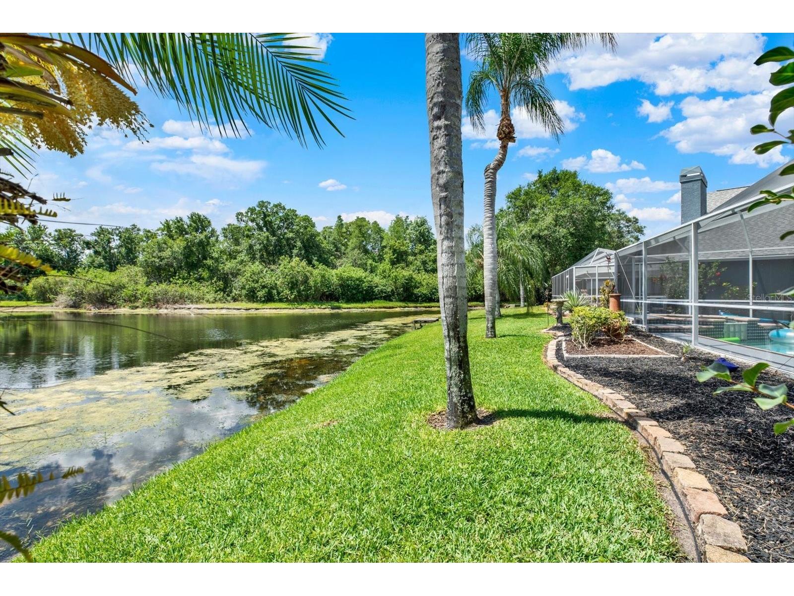9042 Breland Drive Tampa FL 33626 TB8510327 image7