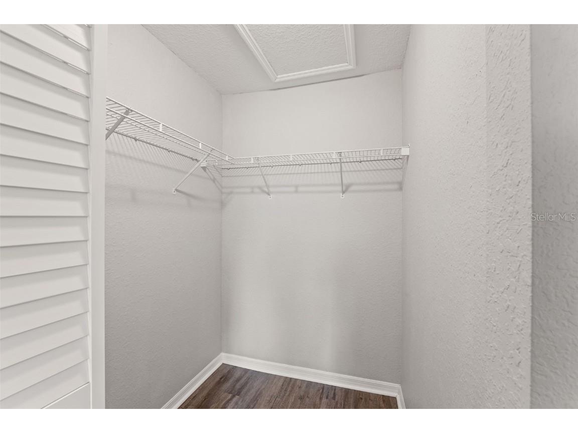 9042 Lake Chase Island Way Tampa FL 33626 TB8407151 image15