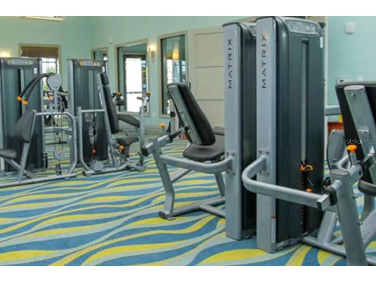 9043 Shadow Mountain Street Davenport FL 33896 O6385097 image46