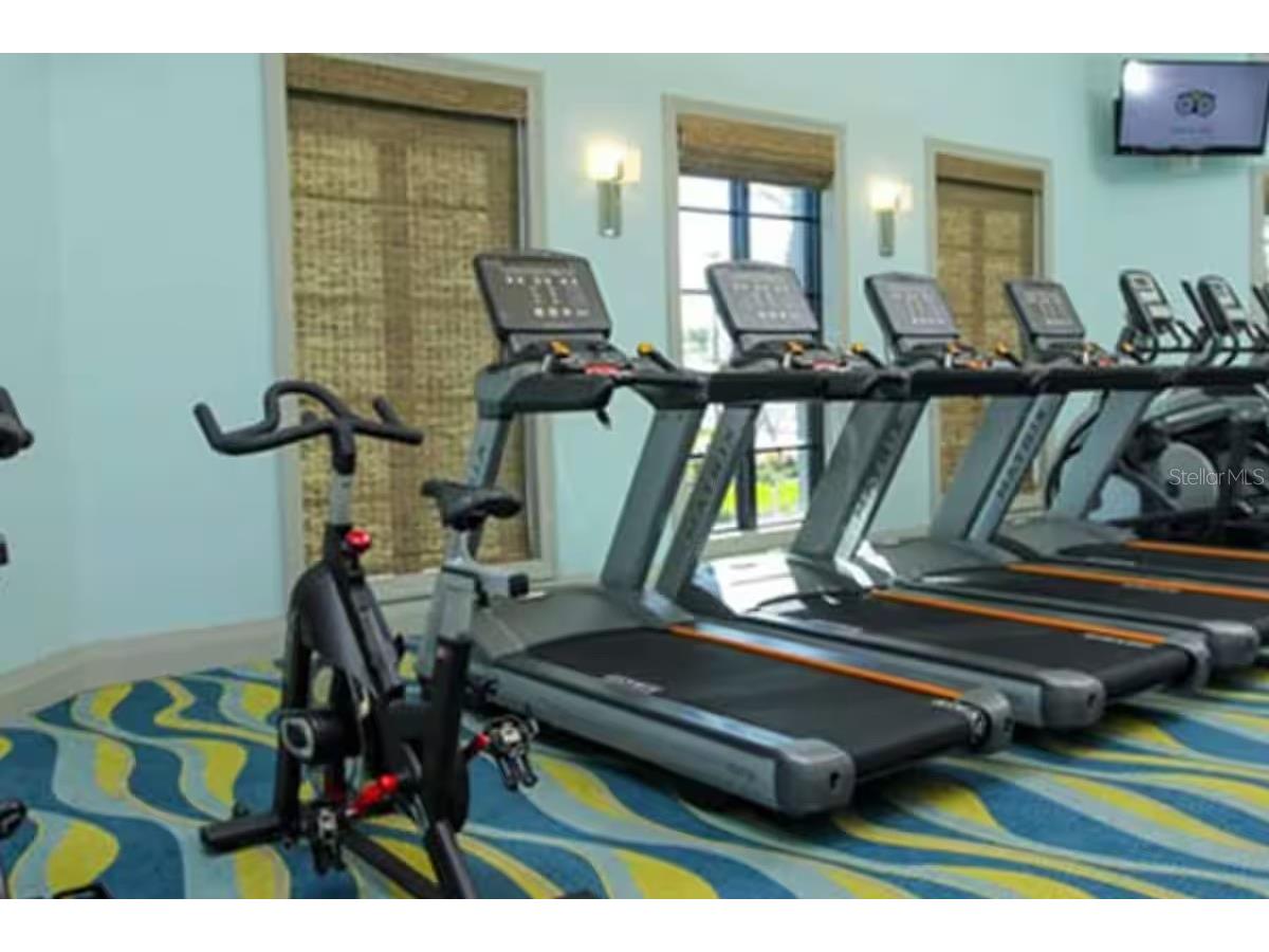 9043 Shadow Mountain Street Davenport FL 33896 O6385097 image47